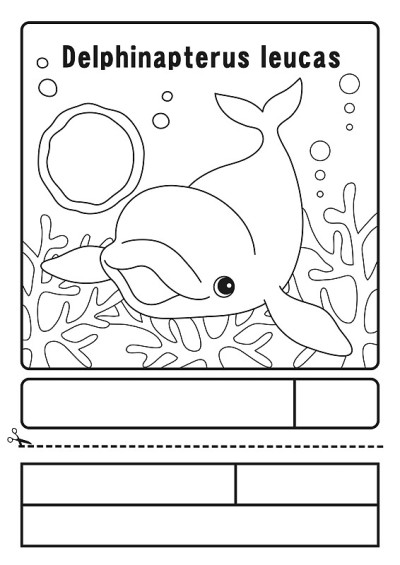 彩色图片白飞龙人物插图
