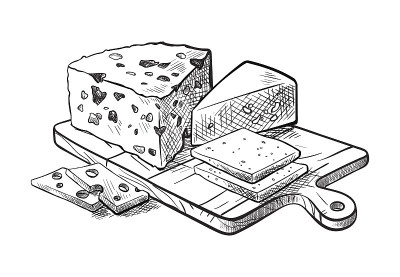 制作各类奶酪的矢量速写集
