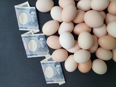 投资健康的蛋白质食品