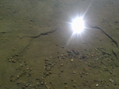 Sun reflection on sea