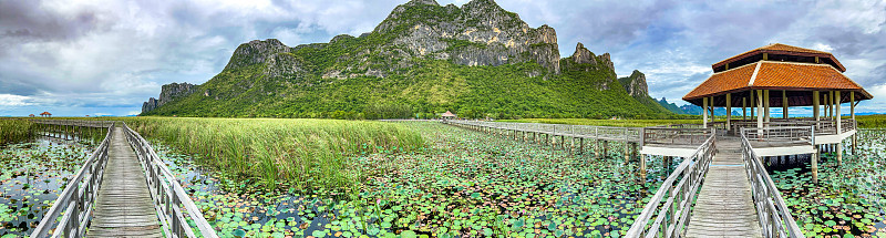 Sam Roi Yot淡水沼泽，走过沼泽，在泰国Prachuap Khiri Khan的Sam Ro