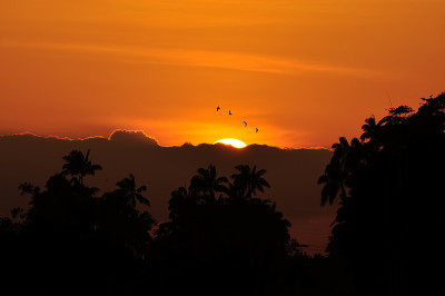 金色的夕阳