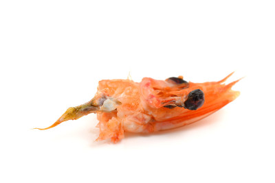 去皮虾头