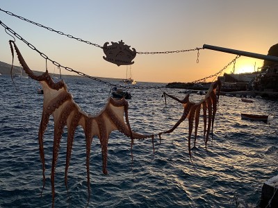 手牵手