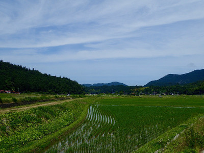稻田/冲电气岛,岛