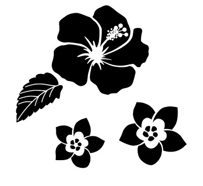 热带花卉插图套装