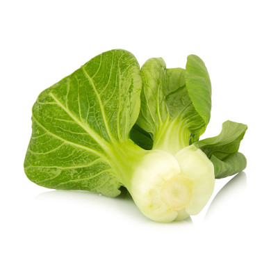 小白菜(中国白菜)孤立在白色背景上