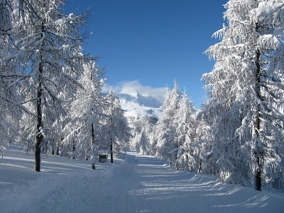 大雪