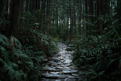 朝圣路线