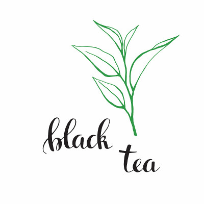 tea leaves and lettering vector