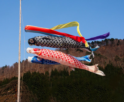 日本，蓝色天空的锦鲤旗