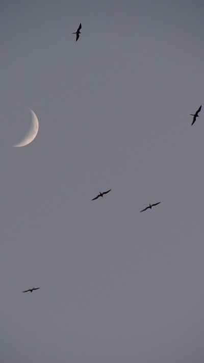 MoonScapes