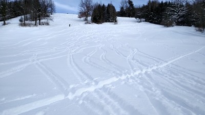 滑雪旅游
