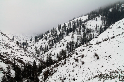 白雪覆盖的山谷