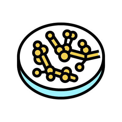 念珠菌真菌白色的颜色图标矢量插图