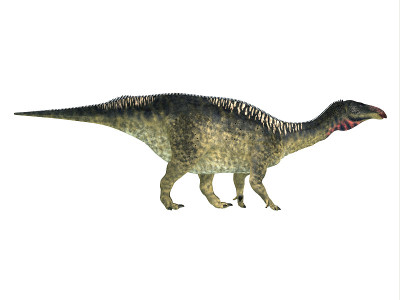 Lurdusaurus侧面轮廓