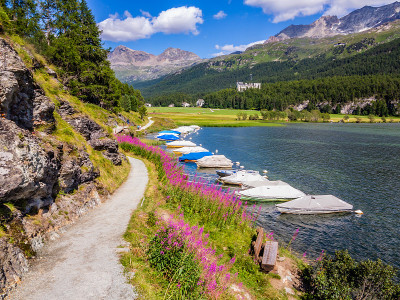 湖Sils-Engadine-Switzerland