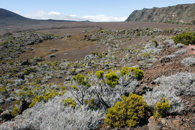 留尼汪岛的拉福奈斯火山