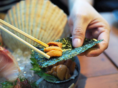 新鲜的海胆生鱼片与一层干海带放在黑色的盘子里一起食用。