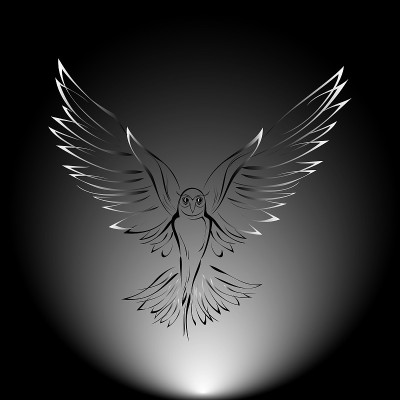 鸟3