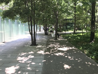 穿过阳光的长廊