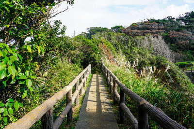 通往荒崎公园“日落山”的悬崖公路(神奈川县横须贺市荒崎海岸)