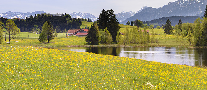 在巴伐利亚Allgäu地区的福根瑟湖和山脉的全景