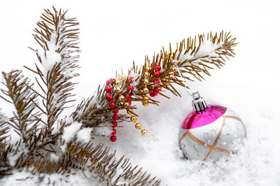 圣诞玩具和雪花云杉树枝上的珠子