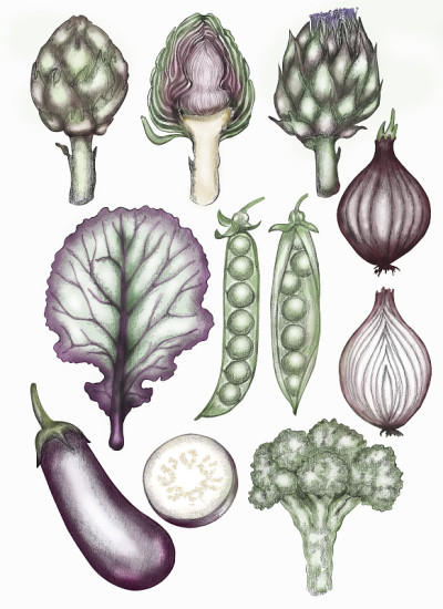 一套图形插图与蔬菜的形象:朝鲜蓟，卷心菜，豌豆，洋葱，茄子，西兰花。手工绘制。设计印刷明信片，海报