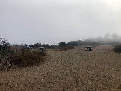 野餐