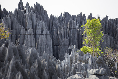 Tsingy