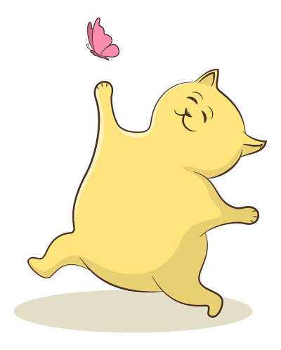 猫和蝴蝶