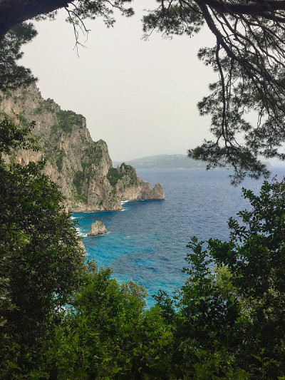 透过树林，眺望地中海的海水