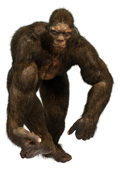 3D插图Sasquatch在白色