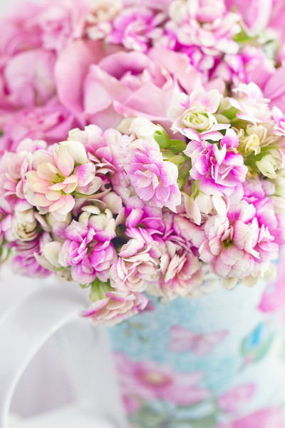 一束鲜花