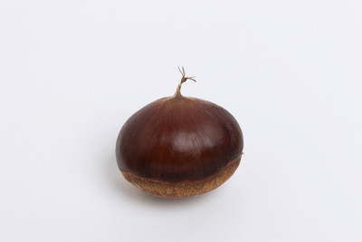 栗