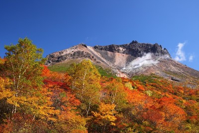山秋叶