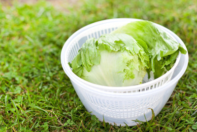 生菜沙拉