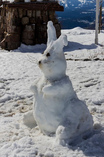 一只雪做的兔子