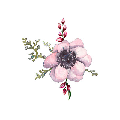 水彩画插图的一小束银莲花孤立在白色