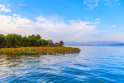 杭州美丽的风景，西湖
