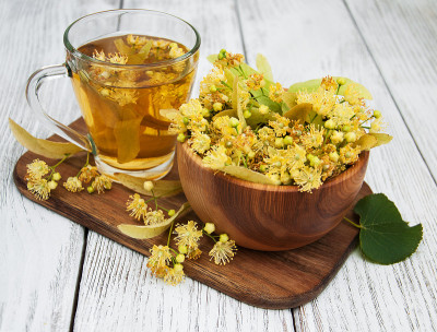 一杯有菩提花的花草茶