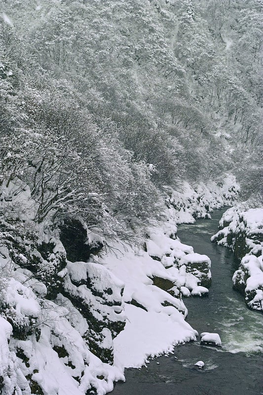 冬天的阿卡西巴峡谷