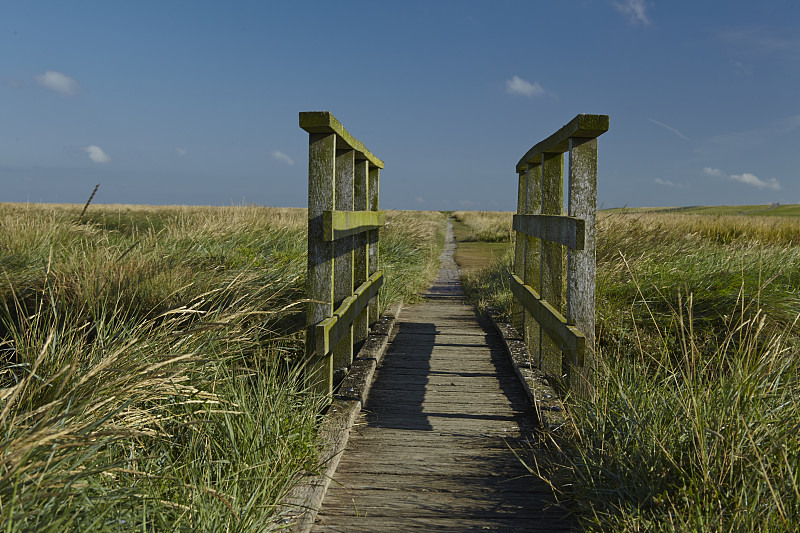 Westerhever(德国)-盐草地和人行桥