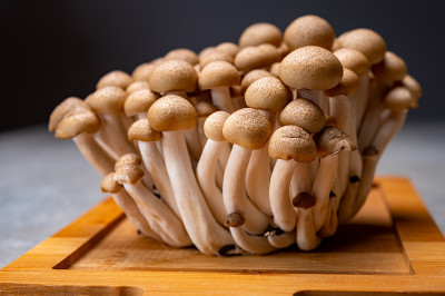来自亚洲的新鲜丁纳褐色shimeji食用蘑菇，富含鸟苷和谷氨酸等鲜味化合物