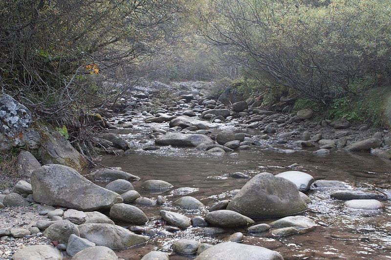 河里的石头