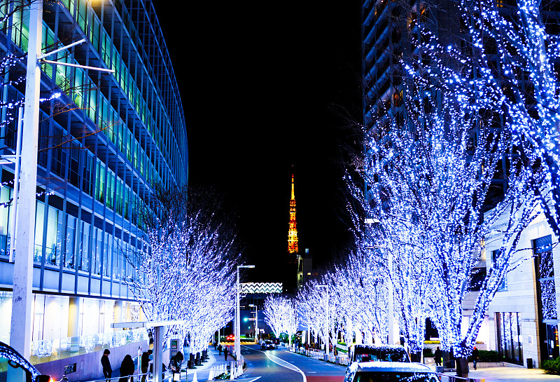 日本东京冬季夜景(著名街道Keyakizaka)(在公共道路上拍摄)