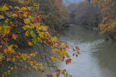 河Pinios