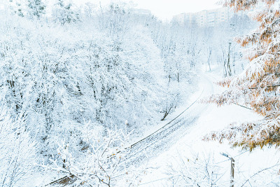 城市公园在冬天的早晨下雪