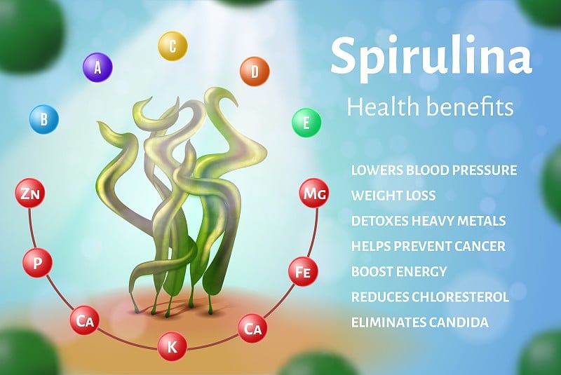 现实的螺旋藻横幅海藻保健功效